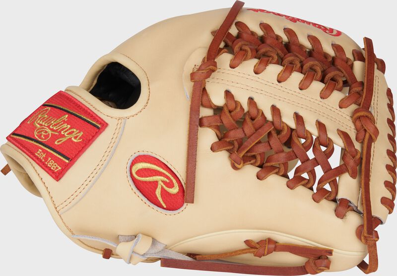 RAWLINGS HEART OF THE HIDE 11.75" MODIFIED TRAP-EZE GLOVE