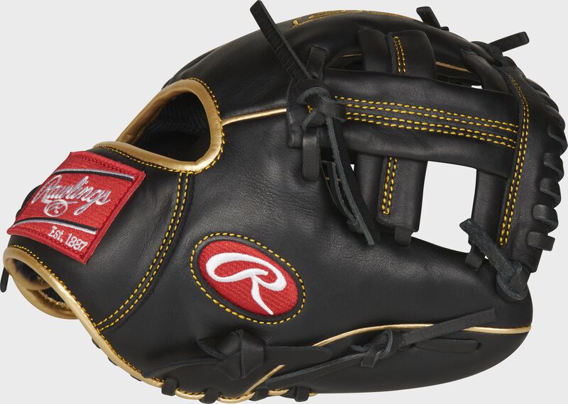 2021 R9 SERIES 9.5" TRAINING GLOVE