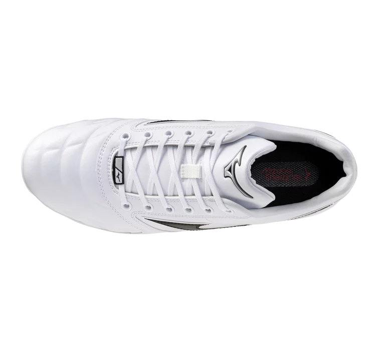 MIZUNO MEN'S PRO SELECT TPU BASEBALL CLEATS