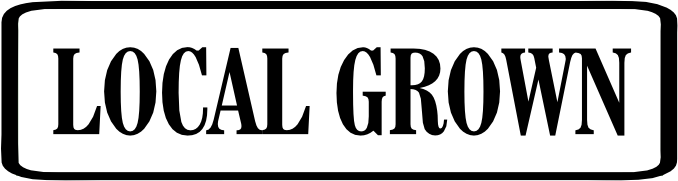 LLD PHRASE TRANSFERS