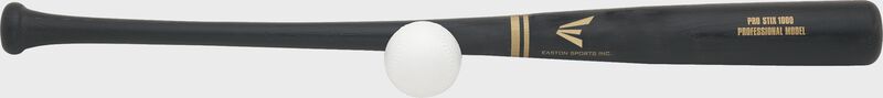 EASTON PRO STIX TRAINING SET