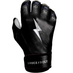 BRUCE BOLT 2021 YOUTH CHROME SERIES SHORT CUFF BATTING GLOVES WITH STORAGE BAG